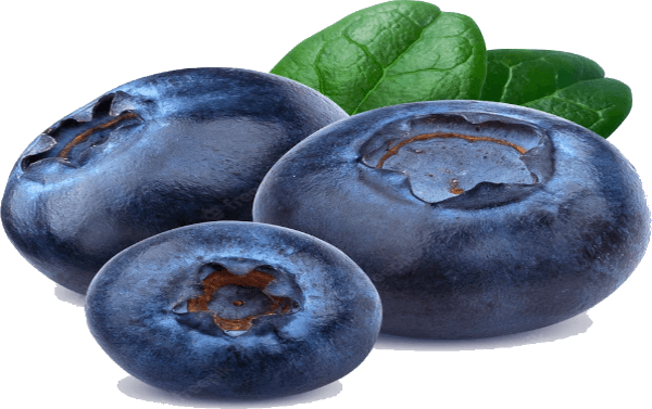 bluberries