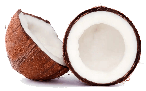 coconut